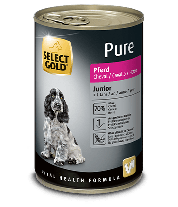 SELECT GOLD Dog Pure Junior Konjetina 400gr konzerva - petcorner