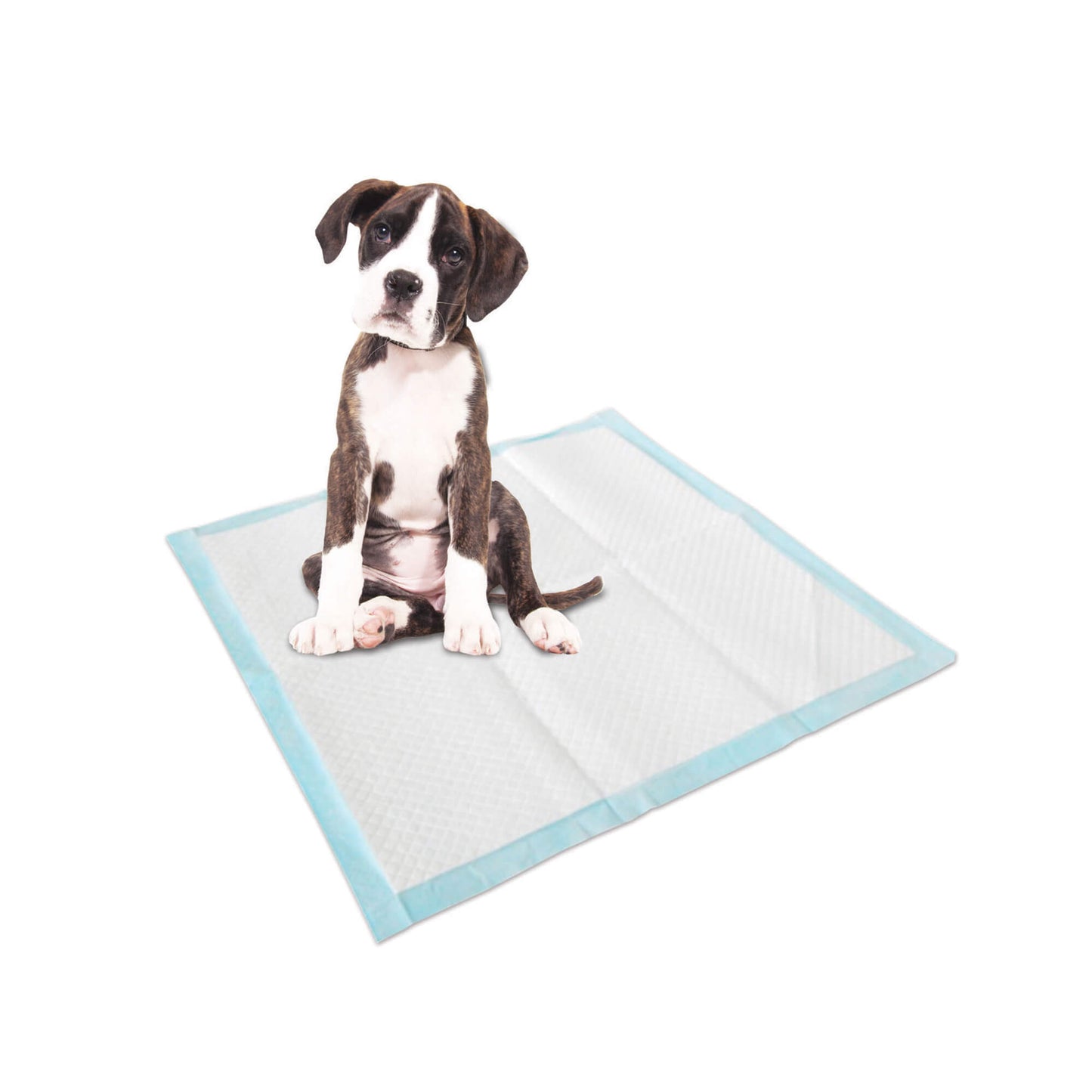 Freedog Pelene za Pse 60x60 cm - 10 kom - petcorner